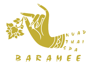 baramee-logo2